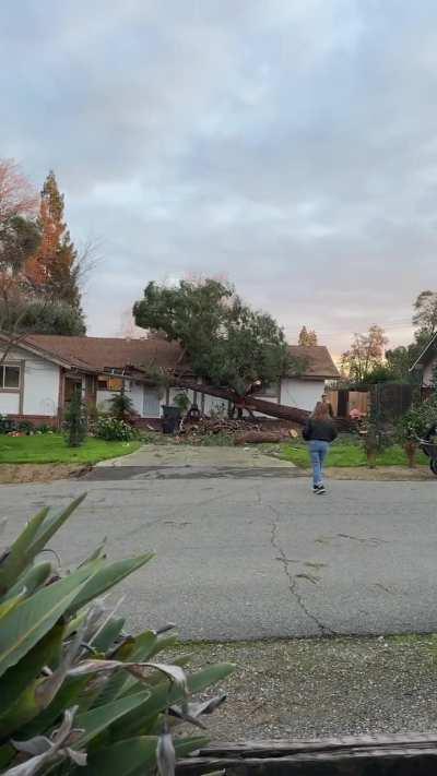 “a little bit more”