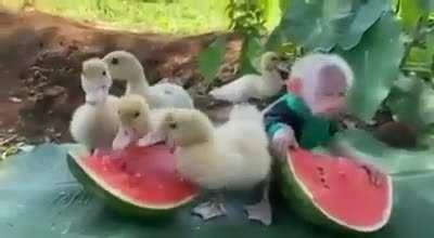 There are fruits for everyone... calm down!!