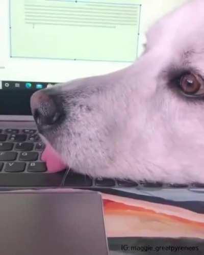 She's just trying to help you with your work, is all.