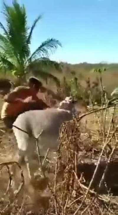 Karma hits back real fast