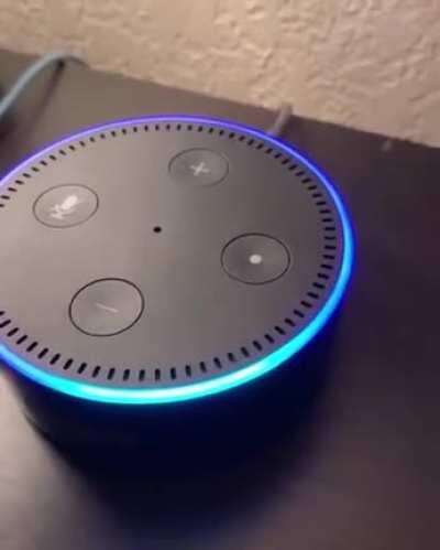Thanks, I hate Alexa