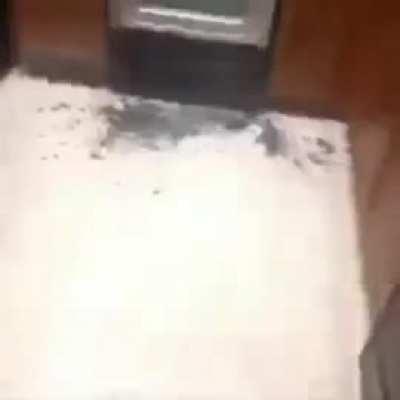 Come getchyo juiuuiuuuiiiuuuuuu