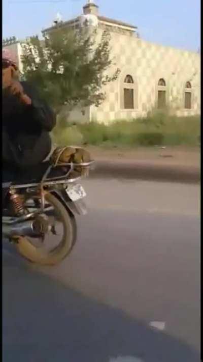 Think this belongs here