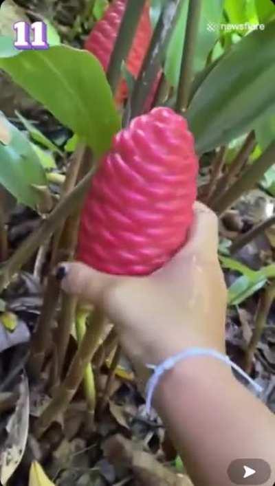 What in god’s name is this