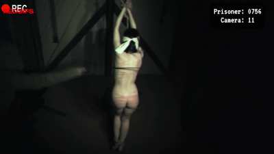 This new security job is quite simple, so I need to activate the alarm in case any of the prisoners escape, but honestly I don't see how they could do that.