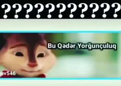 قدم المعكرونة