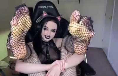 Fishnets over anything else