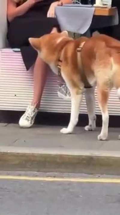 he really licks the ladies