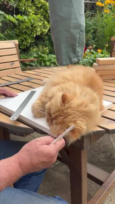 I think this works here...