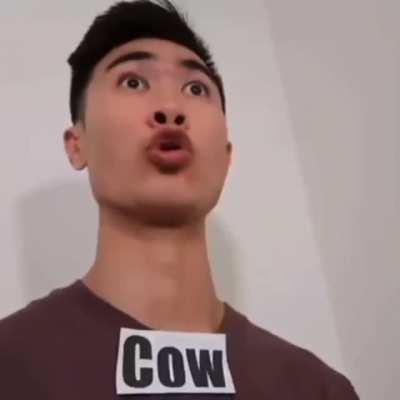 What u doing there step cow