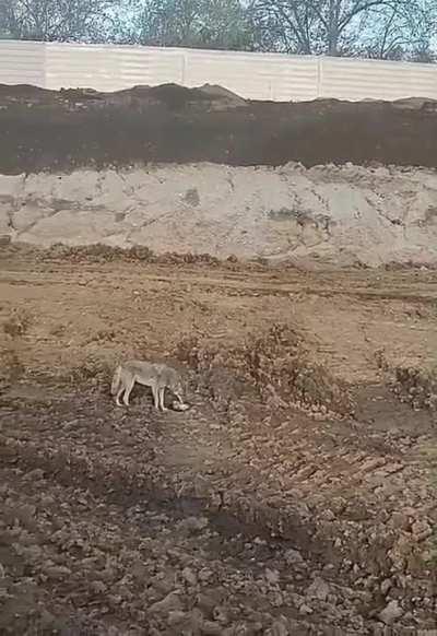 the disrespect is crazy