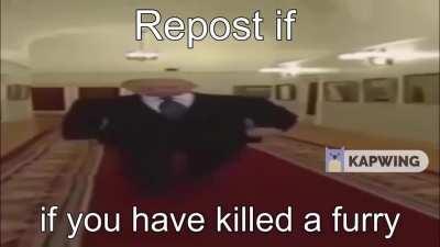 Repost if you have killed a furyr
