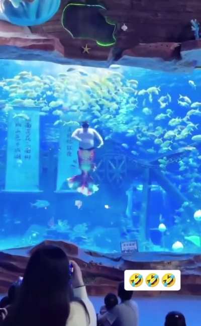 When you lied on your resume but still got the job