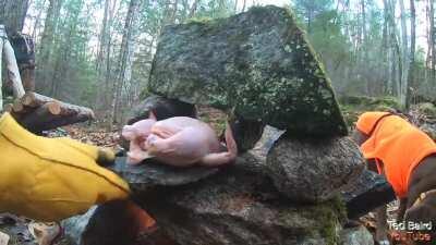 Stone & Rock Oven - Baking Cornish Hen