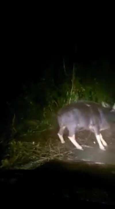 BRAHMASTRA IN REAL!! 😥😥