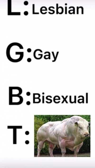 warning: robmania earrape with taur alb