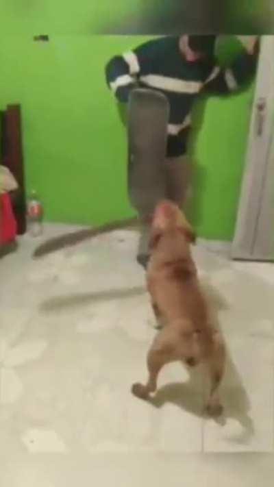 CANELO, master of the blade, wielder of the Machete