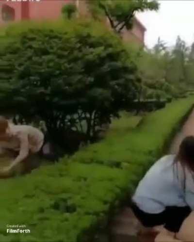 You've. Been. Trolled!