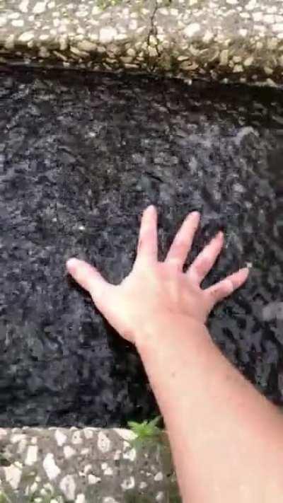 i thought the movement was just wind blowing over the water until i put my hand in