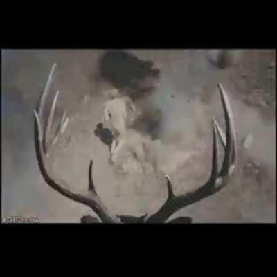 Man these sub mods to KSP armory are getting wild