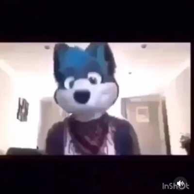 Fucking furrys
