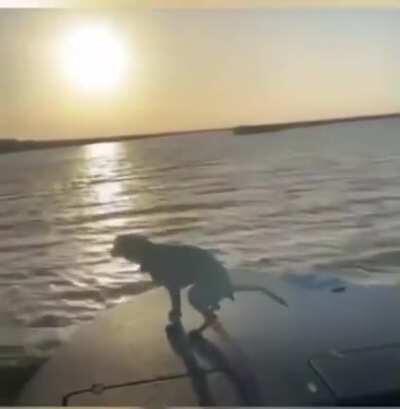 WCGW Filming a Sunset