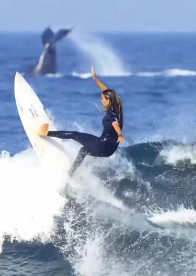 Crazy alignment, timing and execution