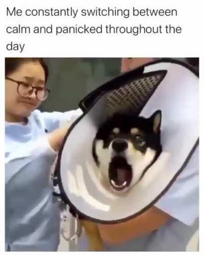 Just like some of us through the day