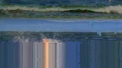 When the whole country of North Korea puts on a show so that visitors believe the country is prospering: