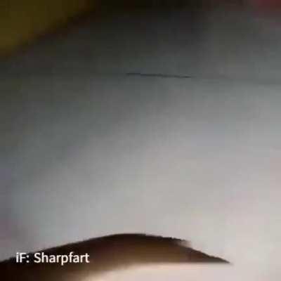 😎 I wanna turn into monkey 🐒🐵 🤪