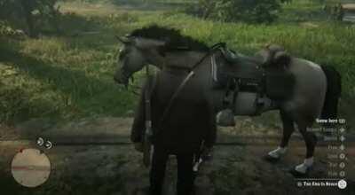 Horse care is very important