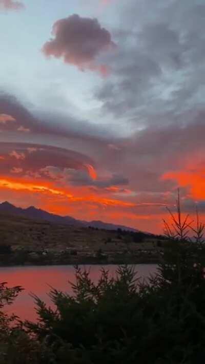 I was filming the sunrise in Queenstown, New Zealand this morning, and heard this unusual songbird (it’s actually what woke me up to see the sunrise). I haven’t heard its song before. Can anyone tell what it is?