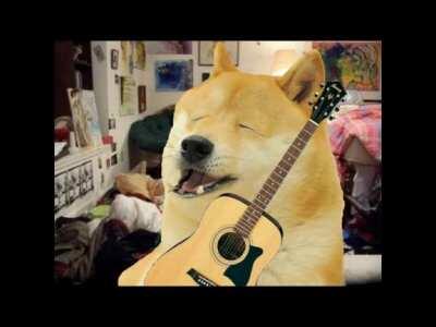 Doge sings a wacky song