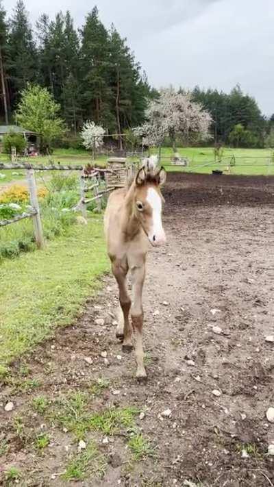 10-day old baby says hello