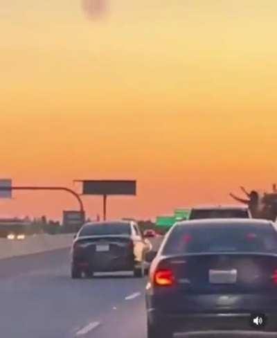 There isn’t a single functioning brain found here