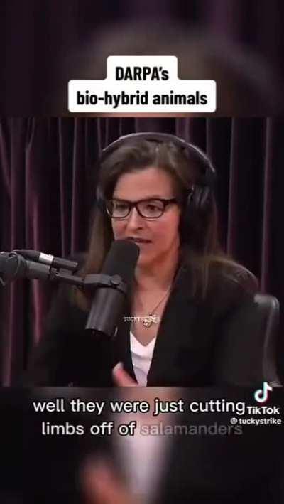 feds want us to eat their microchipped bugs