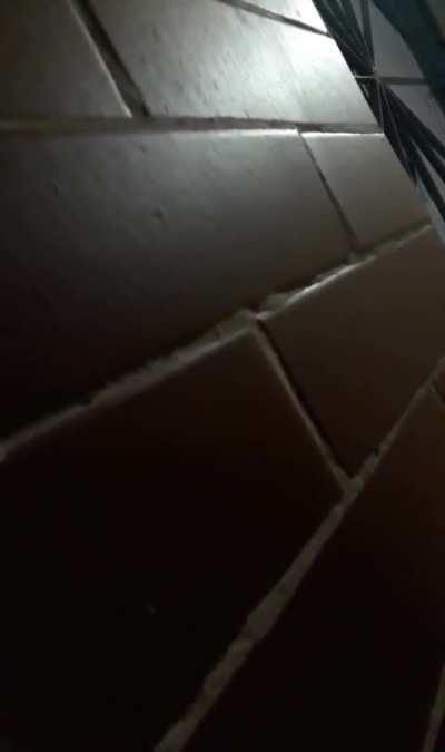 Llegué de mi trabajo temprano y escuché estos sonidos en el cuarto de mi mujer