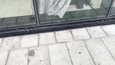 I think we’re beyond squishing