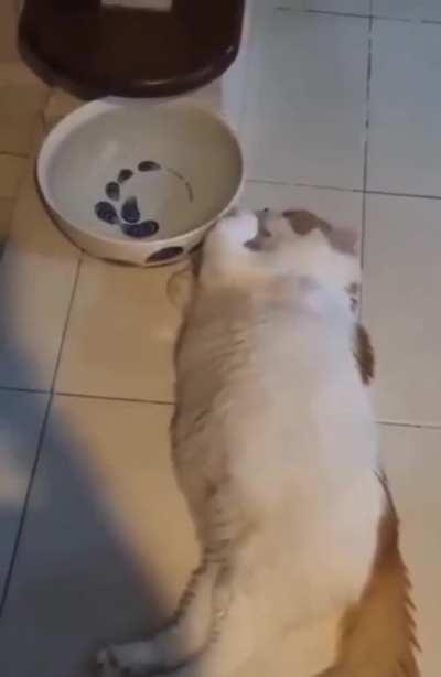 Me and my level of laziness