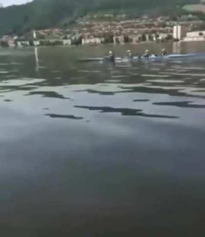 Out of anywhere that they couldâve went.