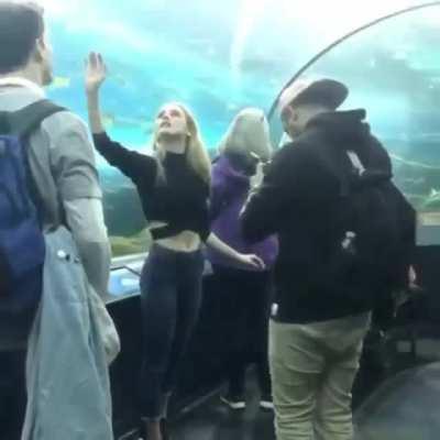 Someone said this belongs here