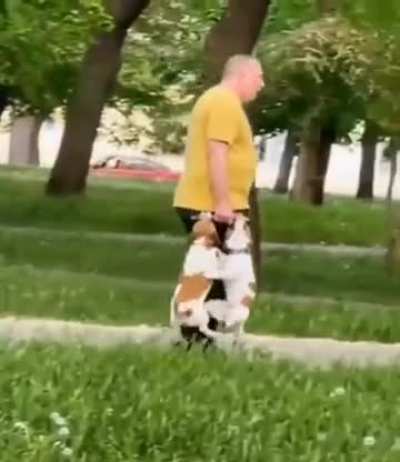 Just a normal day heading home from the park...