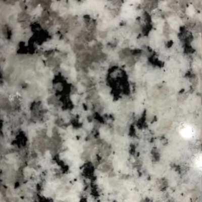 symptoms of paranoia begin invading