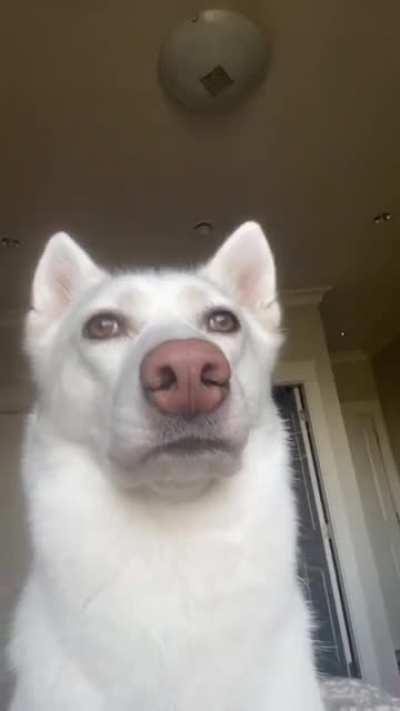 4.543 billion years for this