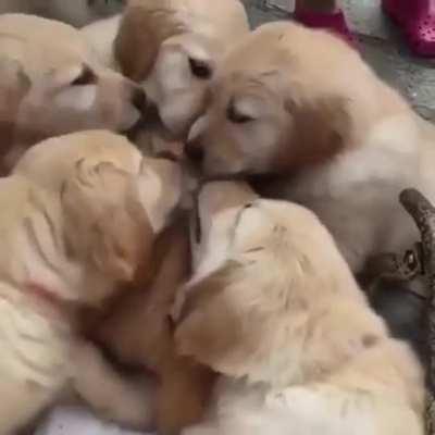 Sharing some love❤️