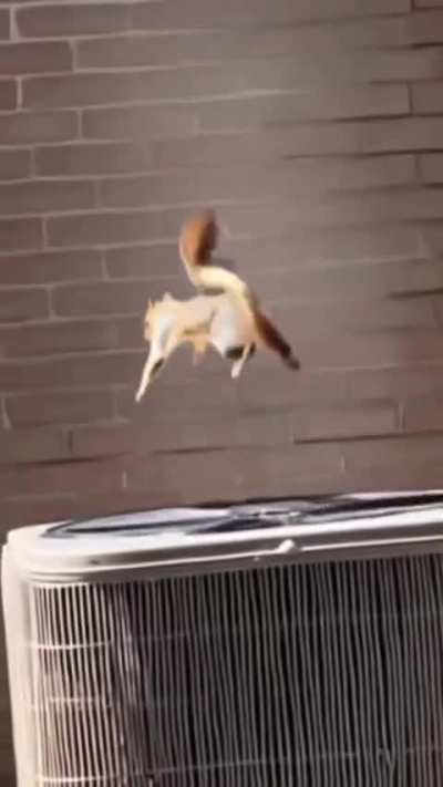 New VTOL units with advanced ground capabilities