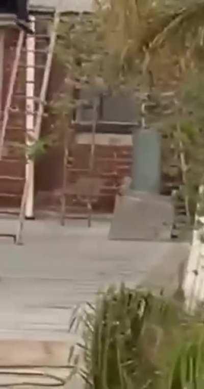 Escape in Ripponlea or just a practice run for Fiddler on the roof 😁