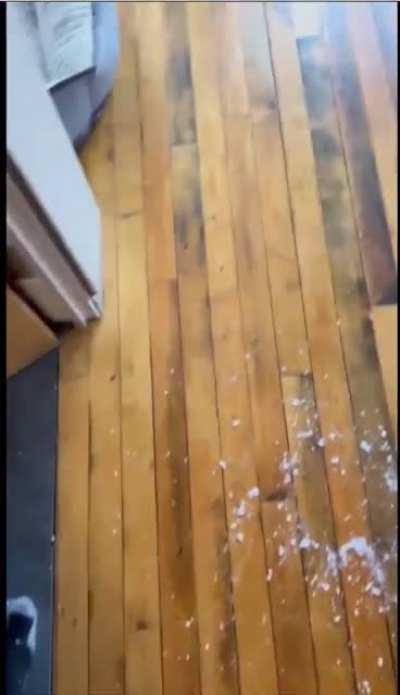 Vomit all over the office