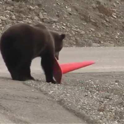 Such a gentleman bear