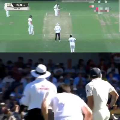 That last wicket reminded me of this